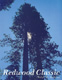 Redwood Classics