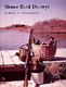 Shore Bird Decoys